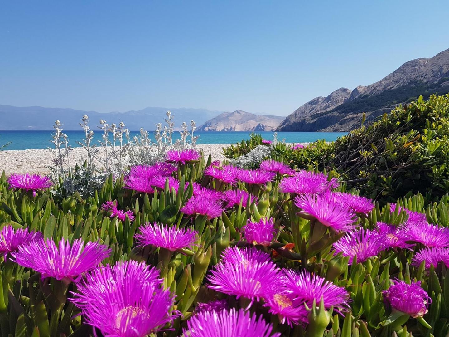 Lovincic * Baska (Krk)